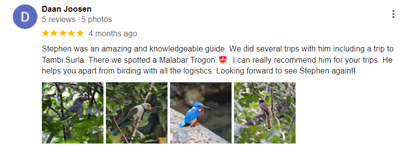 Reviews 3