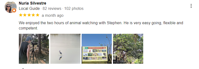 Reviews 4