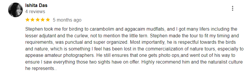 Reviews 6
