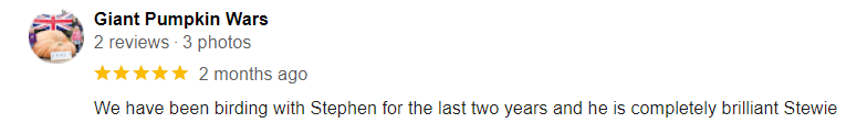 review 11