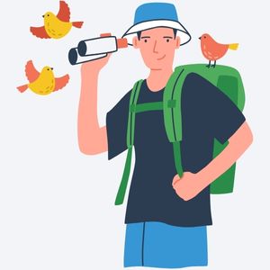 birdwatching graphics