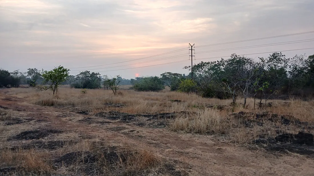 Bogey Birding In Goa